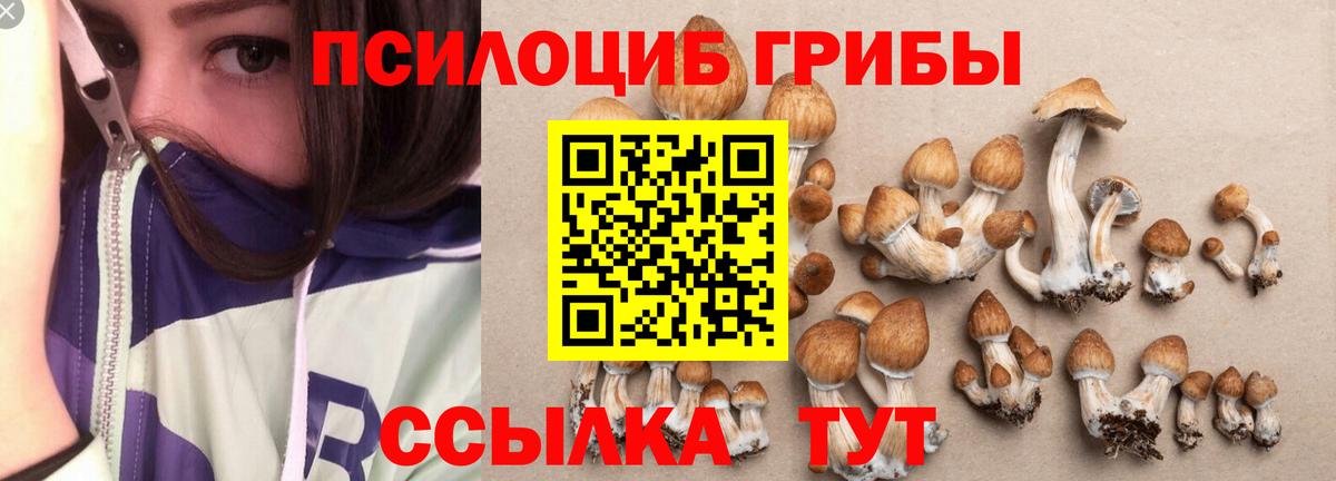 Псилоцибиновые грибы GOLDEN TEACHER Феодосия