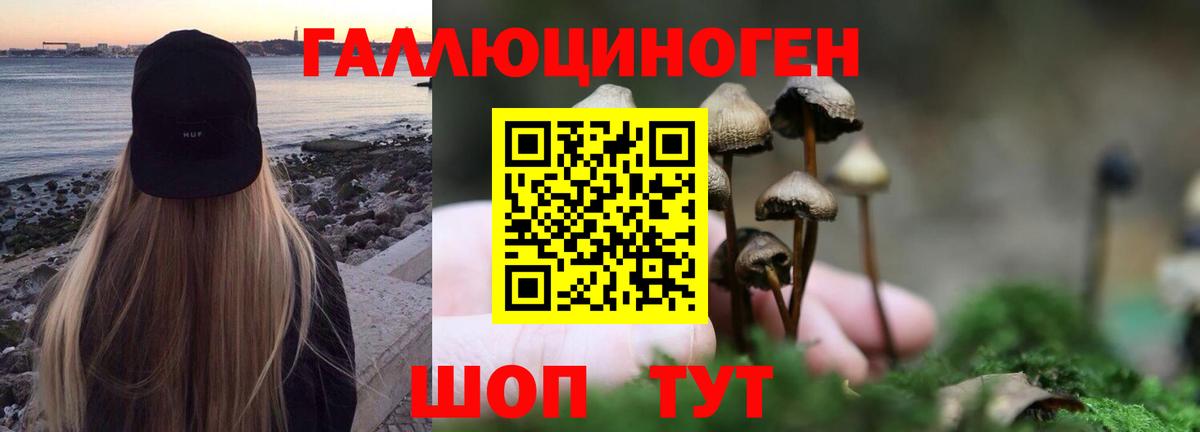 Галлюциногенные грибы Cubensis  Псилоцибиновые грибы Magic Shrooms  Феодосия  Вход с VPN 